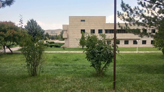 university