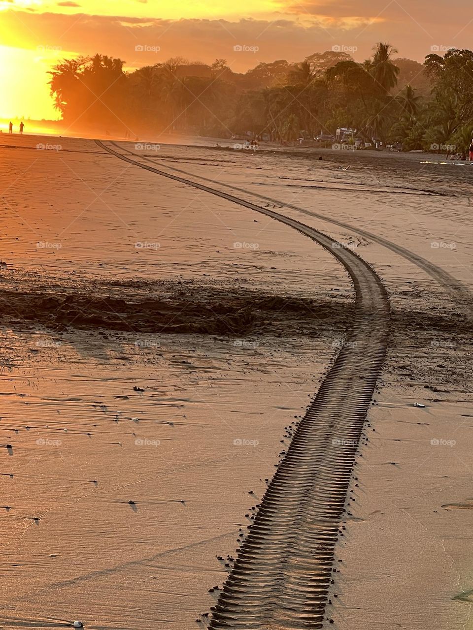 Wheels tracks on the beach at sunset 