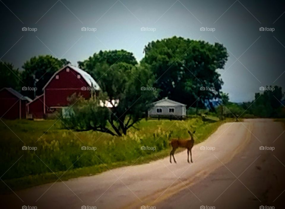 Driving the Back Roads and enjoying everything around us