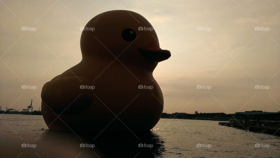 Rubber Duck in Port of Kaohsiung