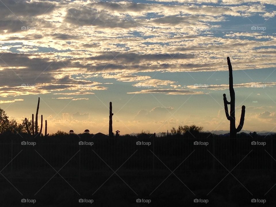 Arizona Sunset
