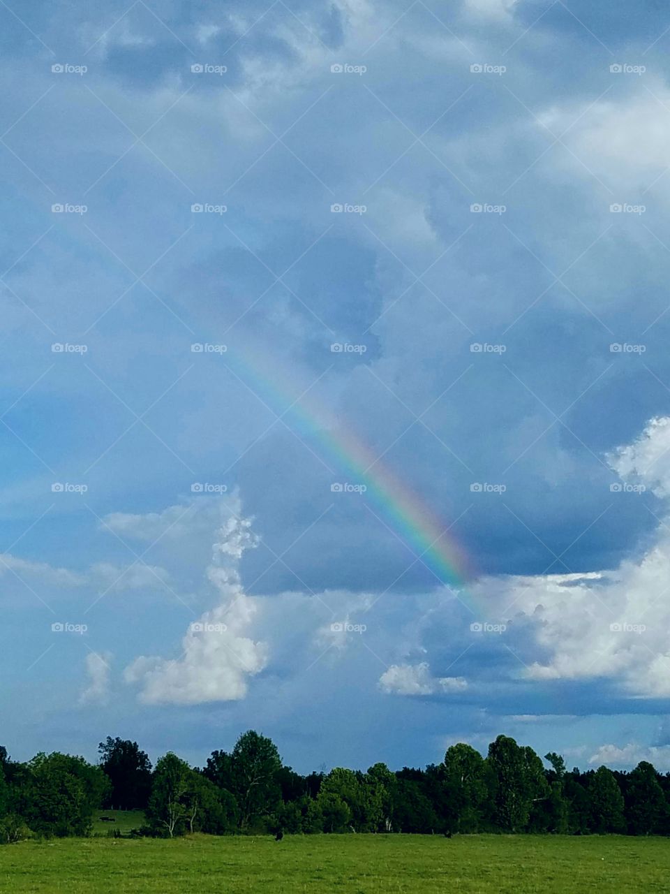 Rainbow in Mississippi