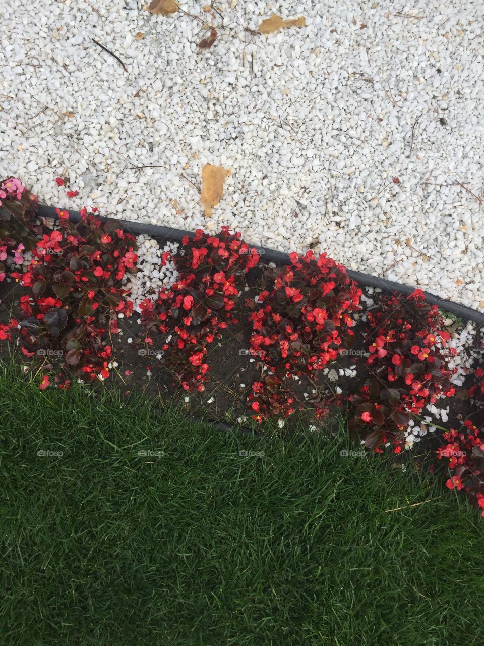 Three lines on the ground