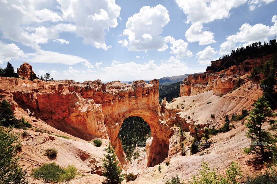 The Natural Bridge in Bryce Canyon National park but it actually is an arch says the description at the point of view.
