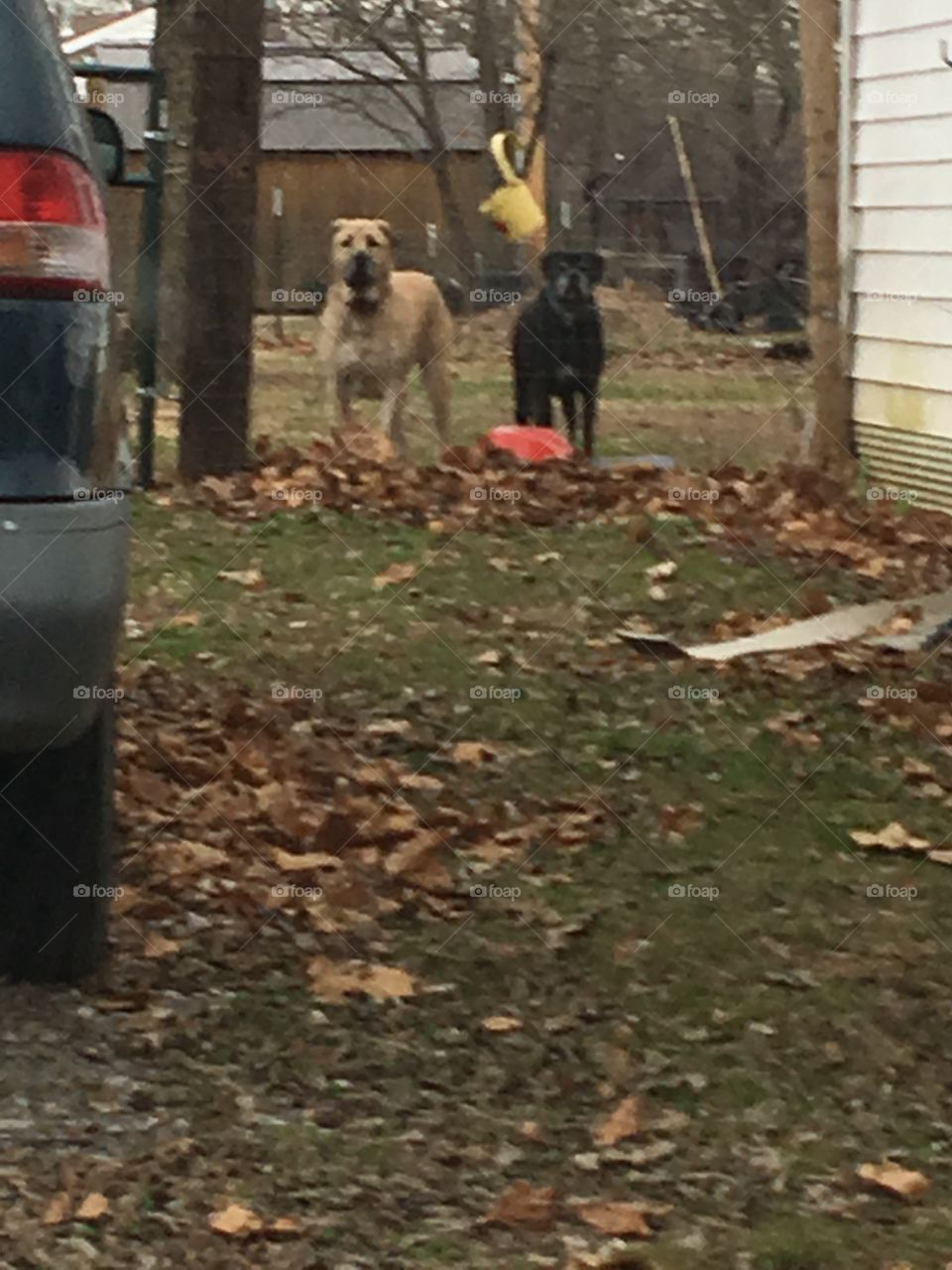 Hey where you going?