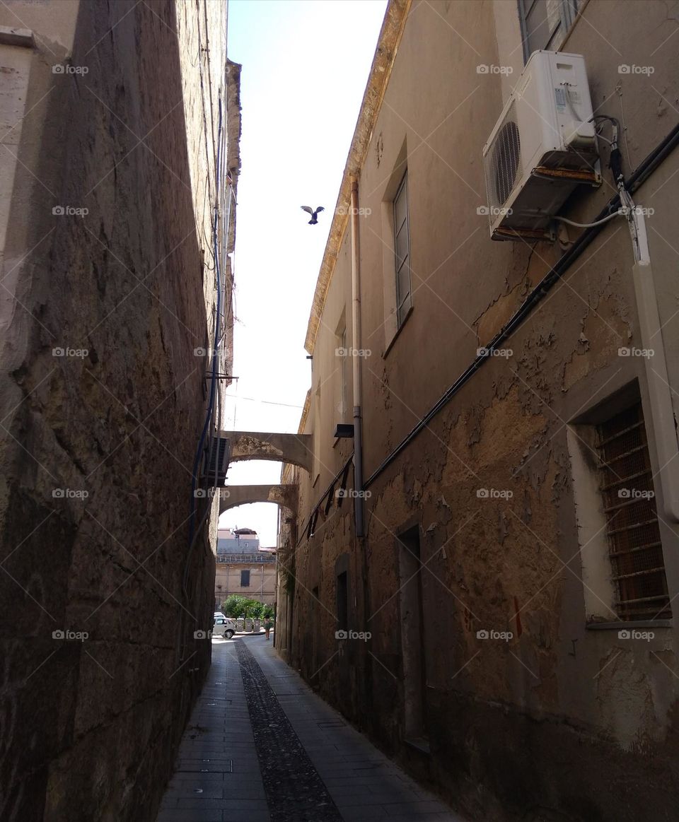 Editors' Choice: Photo of the Week