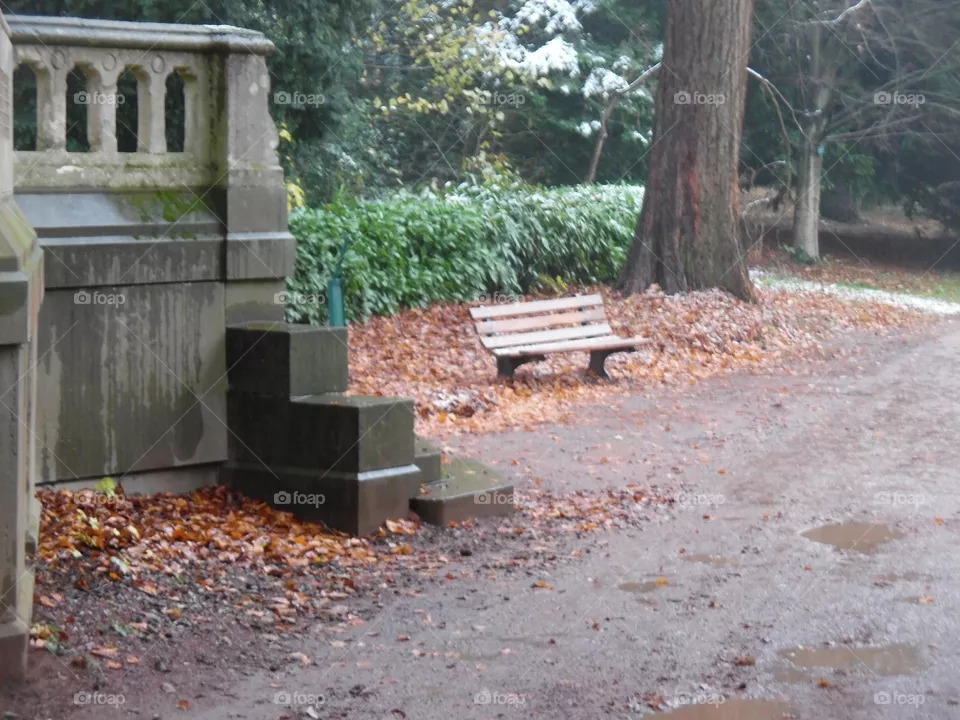 Parc de Mariemont , la Louvière