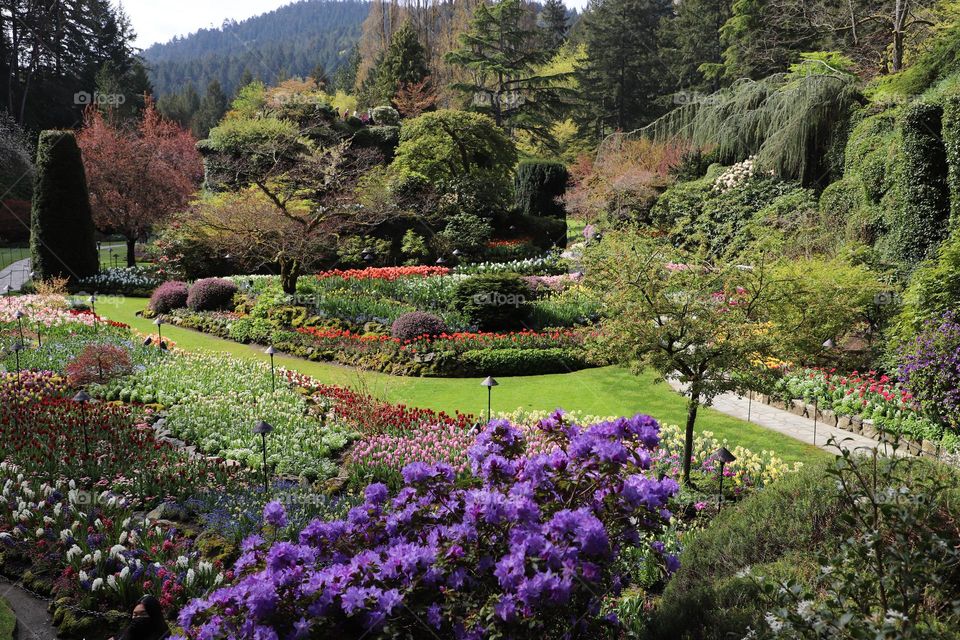 Butchart Gardens/ landmark on the island 