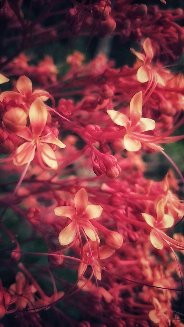 more colors less darkness...collection....