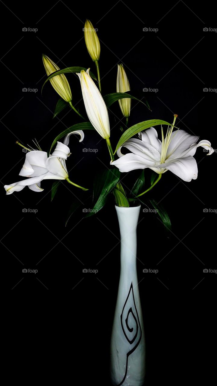 White flowers in the vase 🤍 Lily 🤍 Black and white 🤍🖤