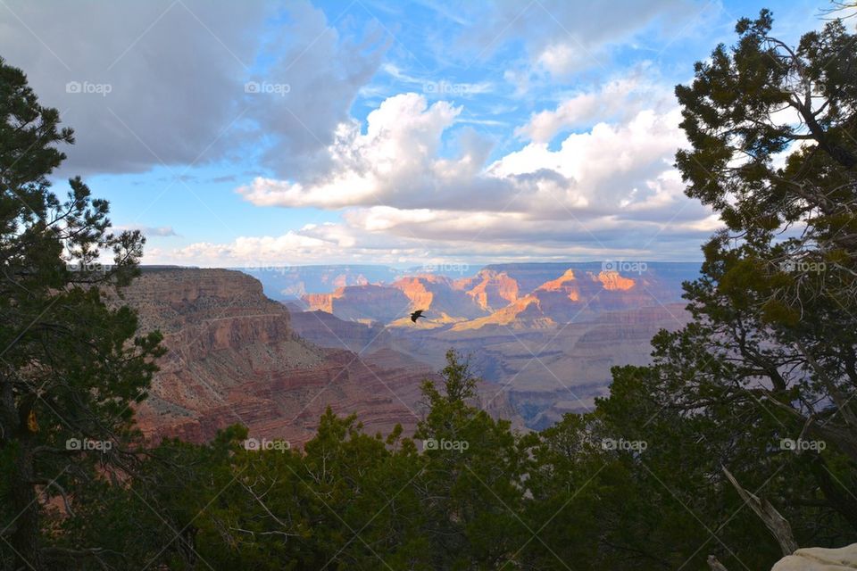 Grand Canyon