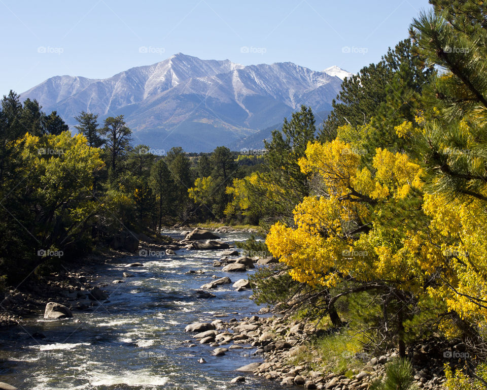 fall along the Arkansas River. fall colors highlight the Arkansas River