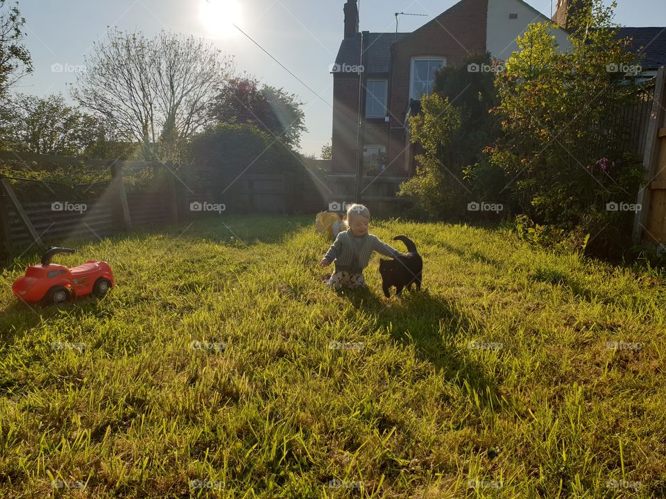 toddler playing in garden with cat ,sunlight on them.