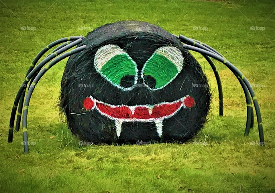 Halloween Spider Hay Round