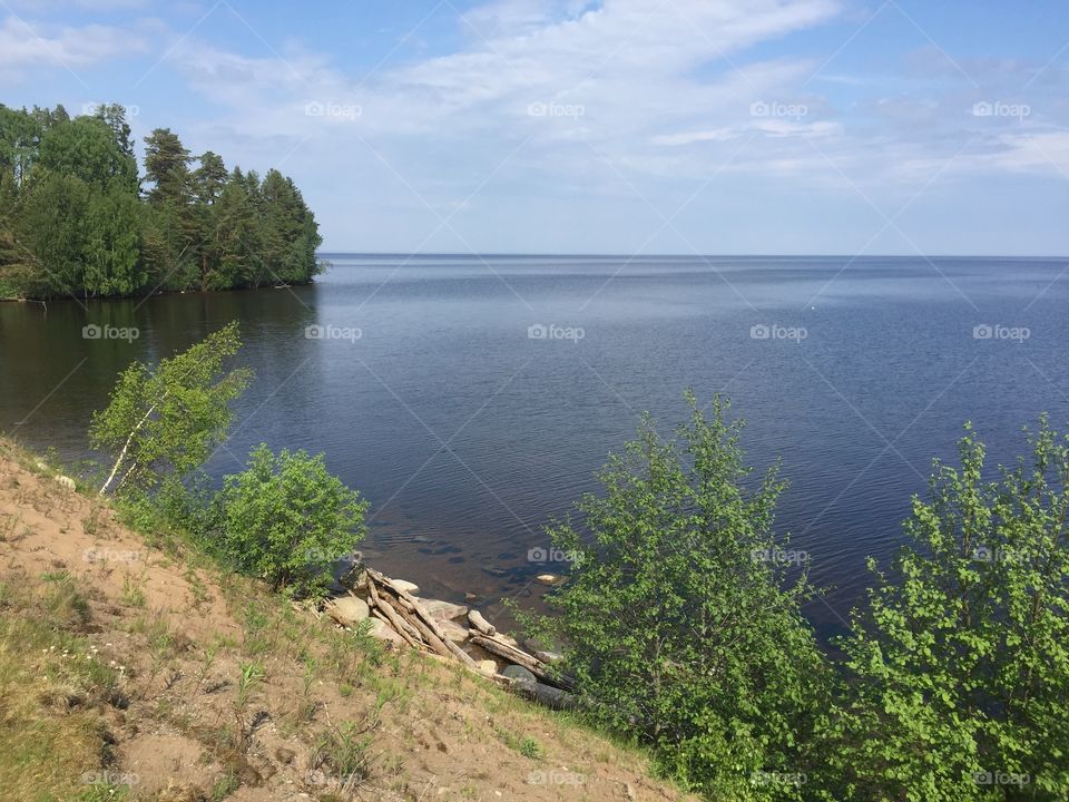 Lake and trees 