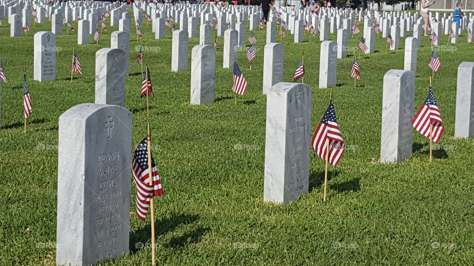 American flags on veterans' graves at Biloxi National Cemetery.