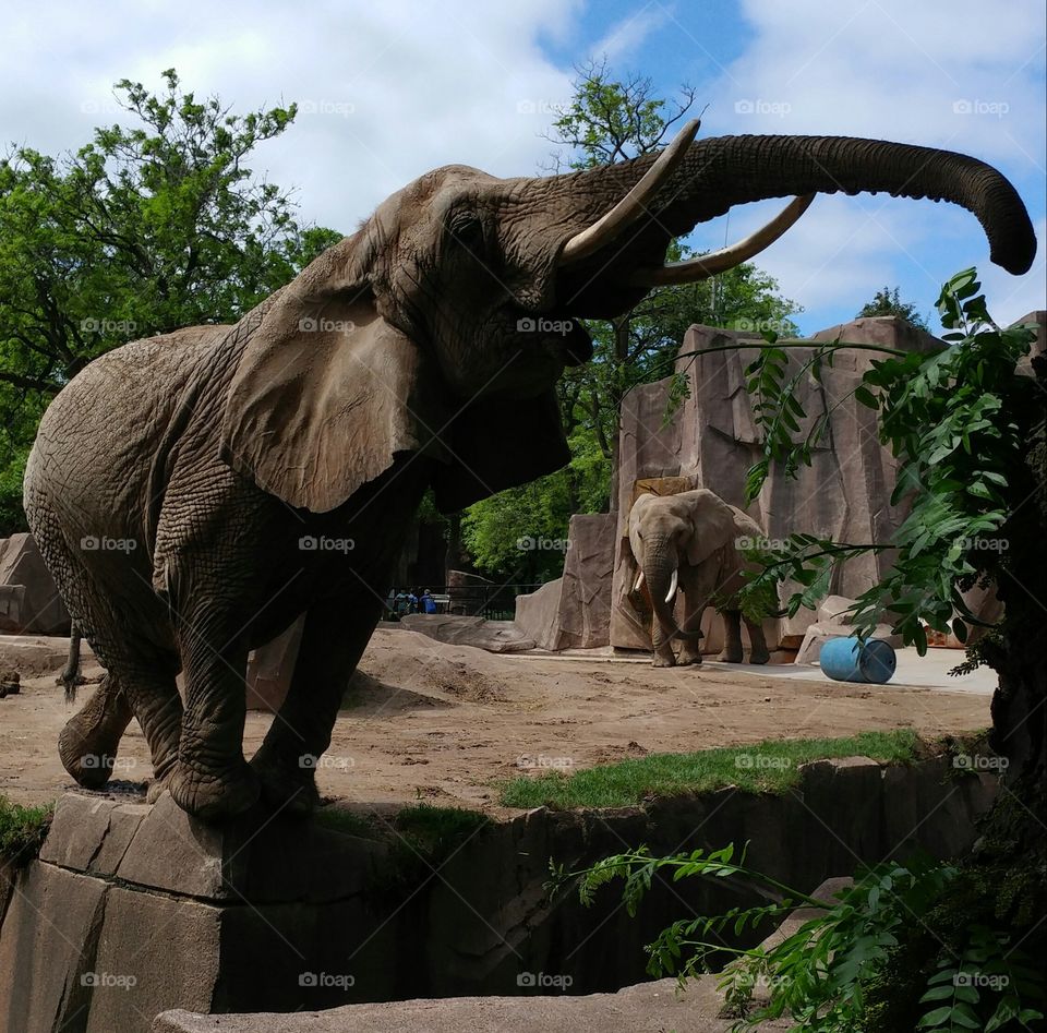 Ruthie reaching high