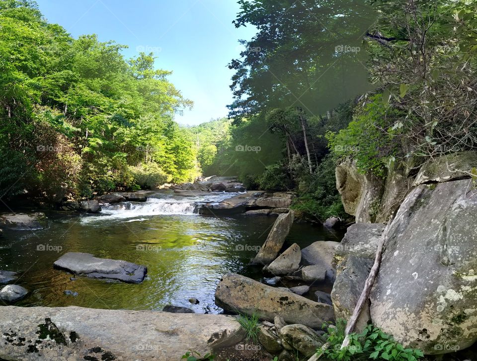 The Gorges State Park