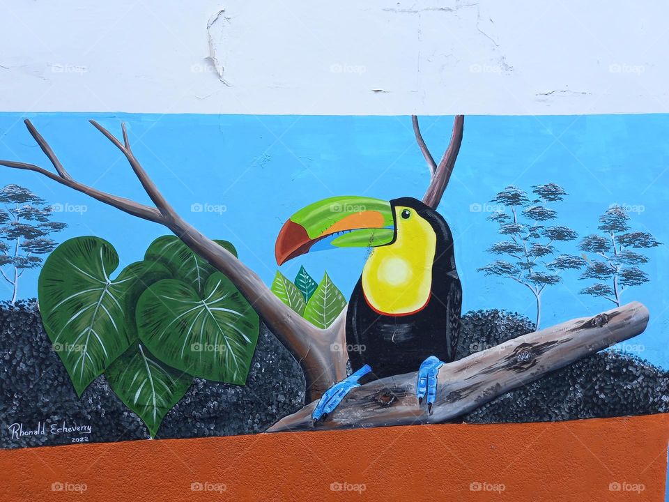 bird painted on the wall