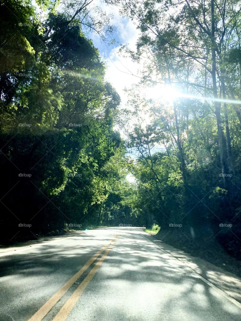 🇺🇸Along Estrada Velha de São Paulo, a beautiful landscape after so much rain. Photographing relieves stress. / 🇧🇷 Pela Estrada Velha de São Paulo, uma linda paisagem depois de tanta chuva. Fotografar desestressa. 