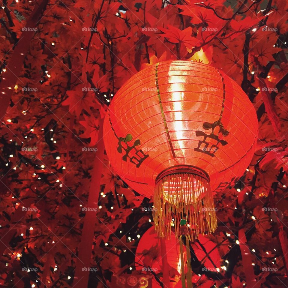 Chinese Lantern