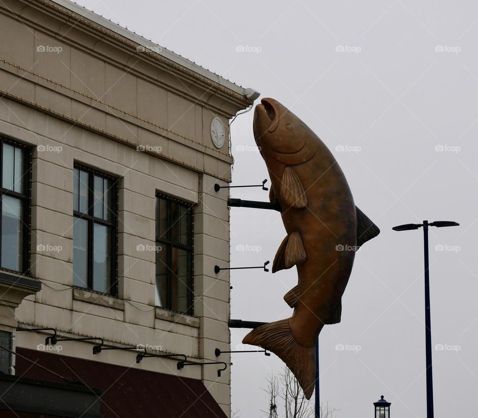 A giant fish attached to a wall outside of a local restaurant. You can’t catch this one!