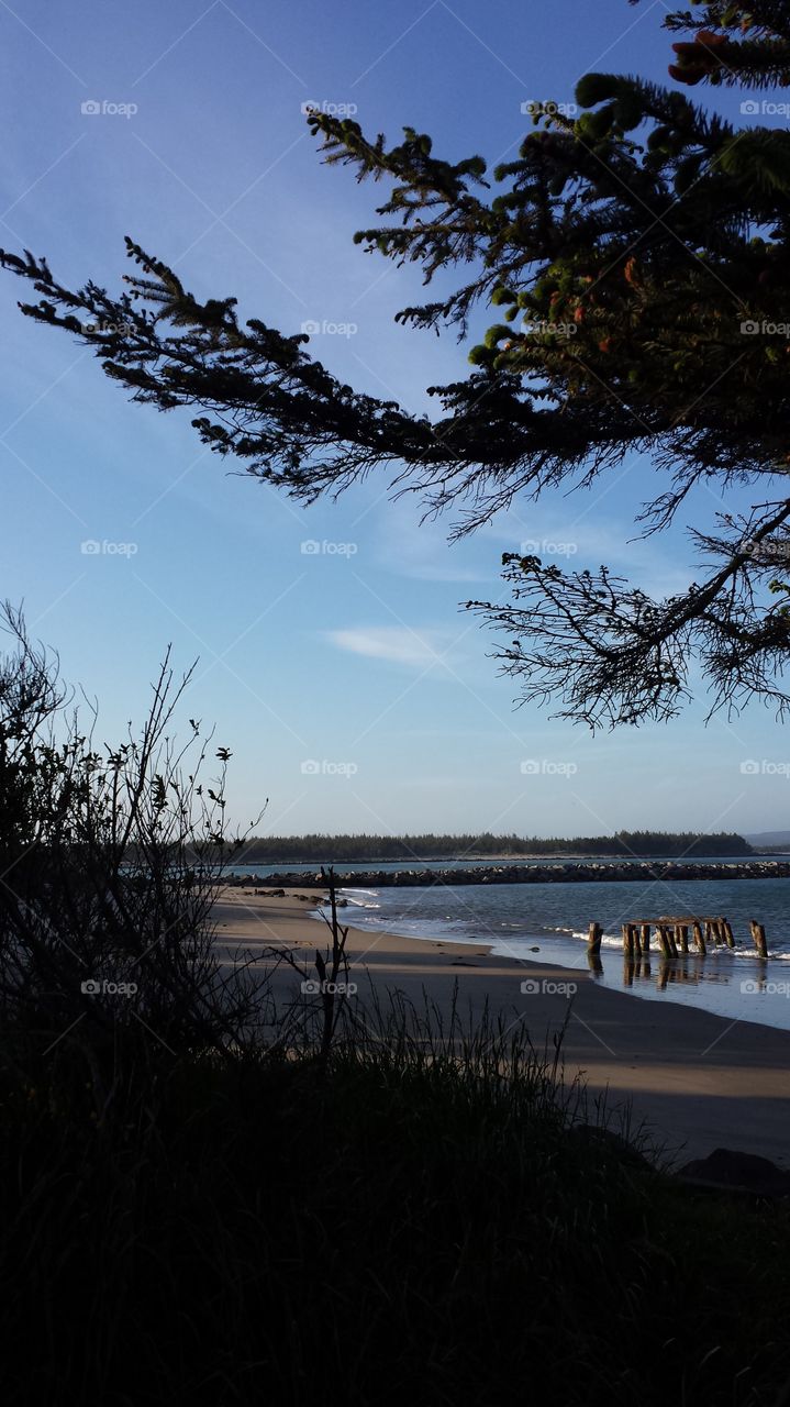 Windy Cove Beach. Spring Day At Windy Cove.