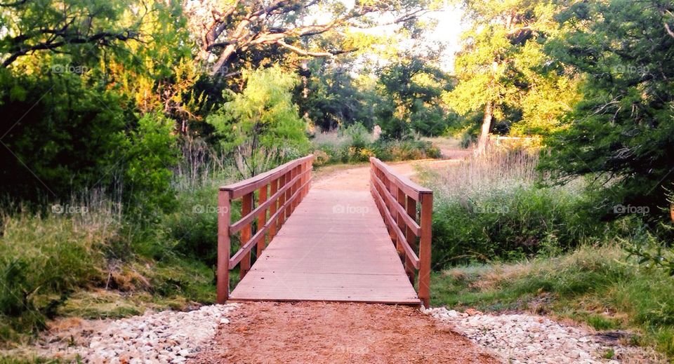Bridge to the Unknown