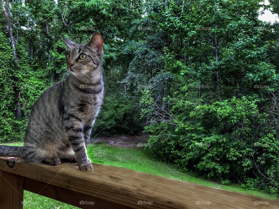 Benjamin Linus Posing