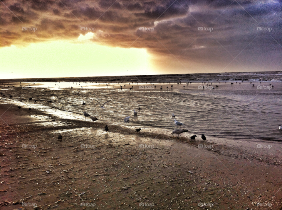 beach ocean sky grey by KathOnEarth