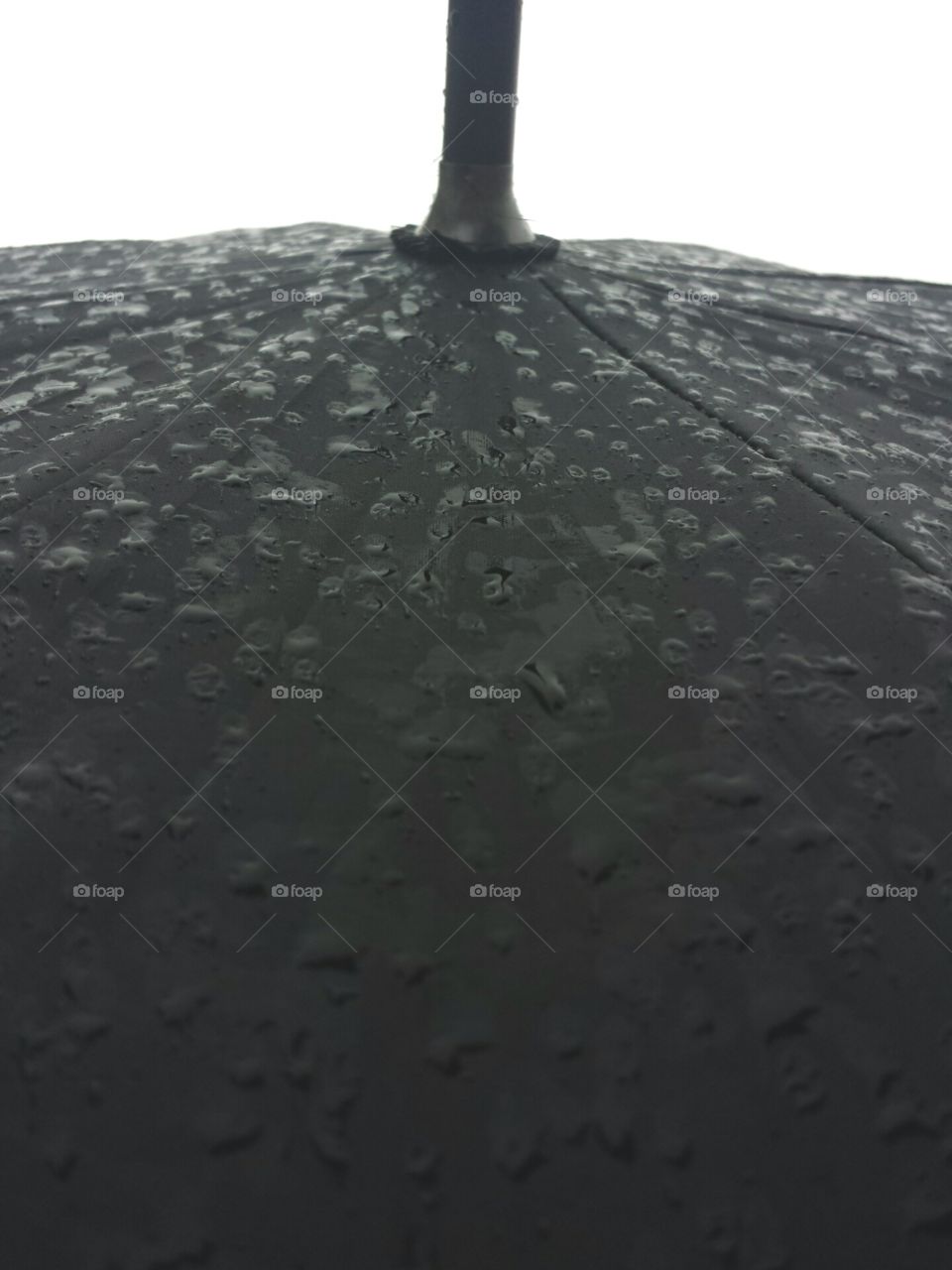 umbrella top side view