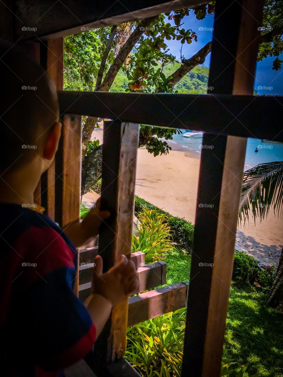 I got summer on my mind! A little child behind a wooden fence, watching a tropical sandy beach. 