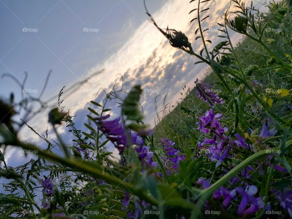 pulled over on the highway to get this picture