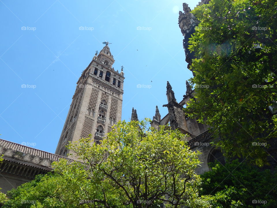 Sevilla, Spain in the summertime 
