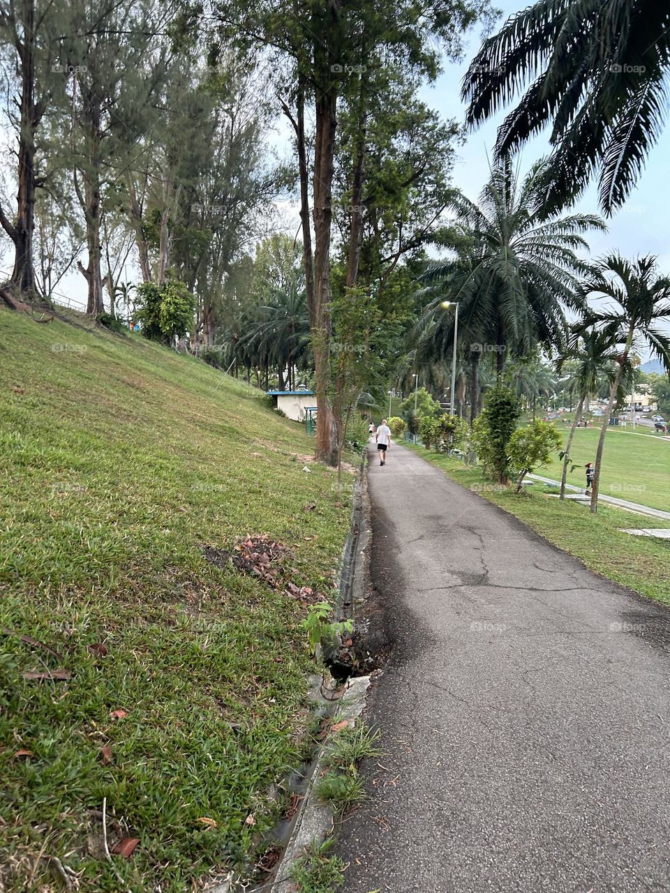 Bukit Dumber Park ,Jelutong ,Penang Island