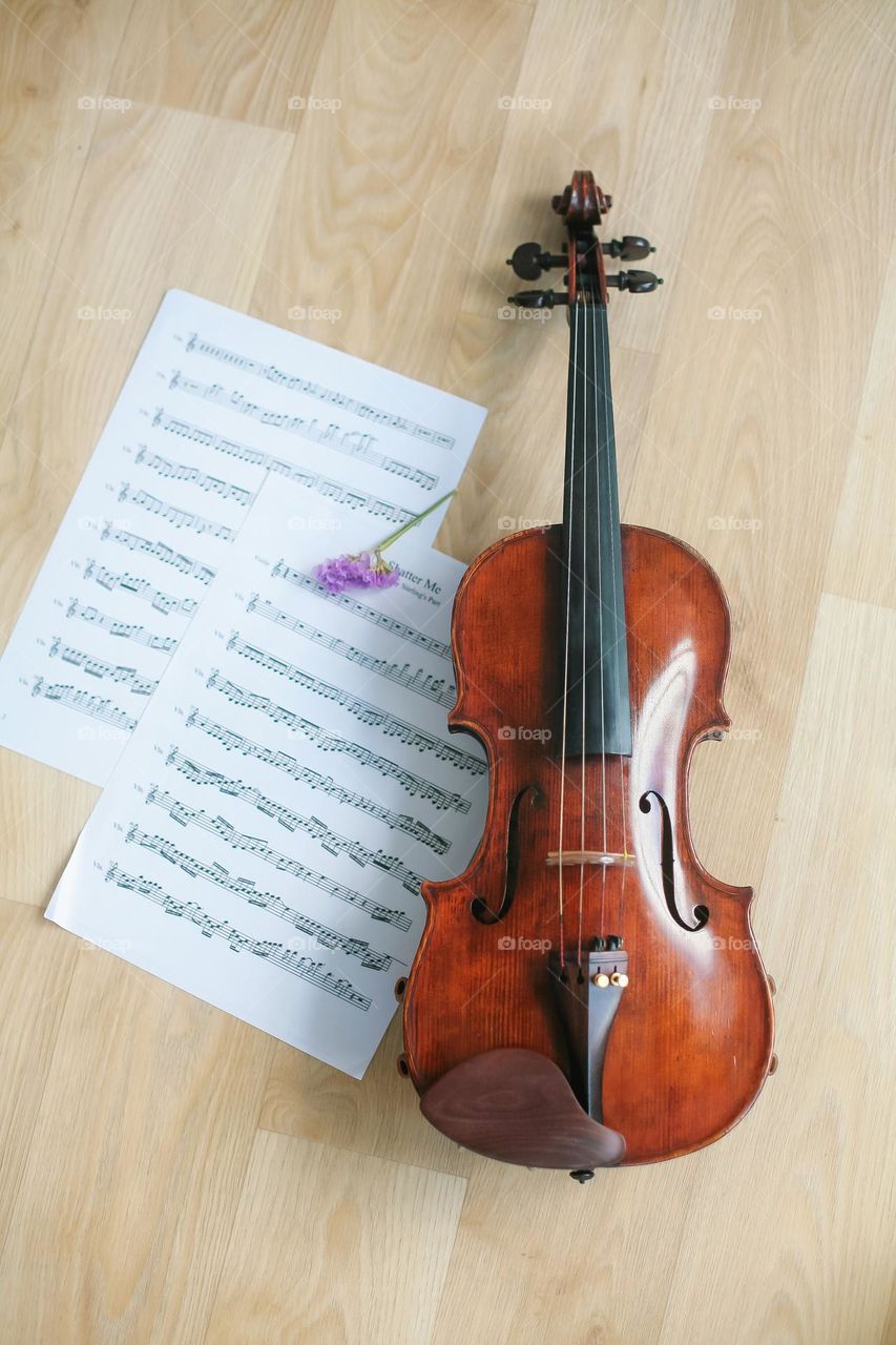 Violin and notes