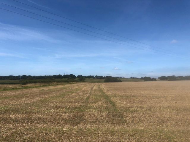 Field 