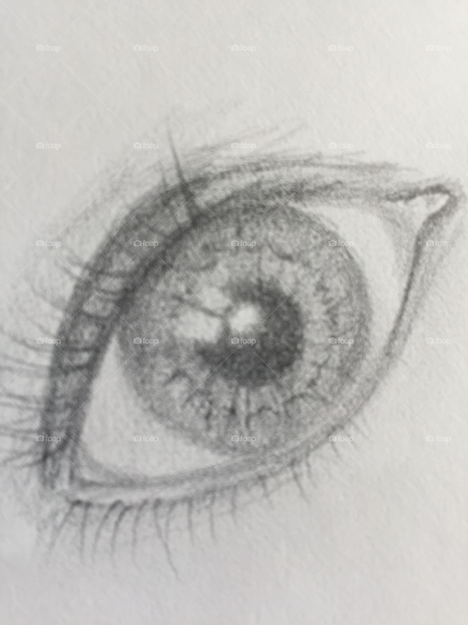 Sketch of the eye