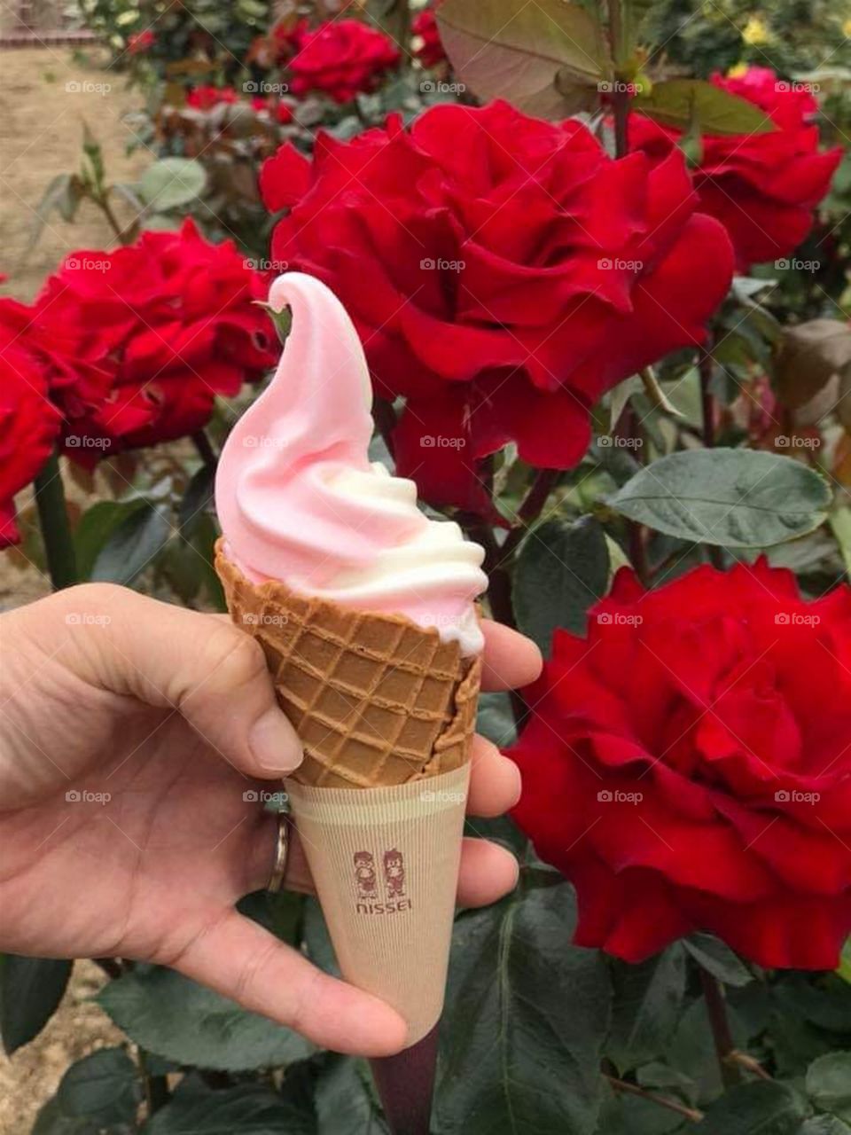 Sight and Taste Delight