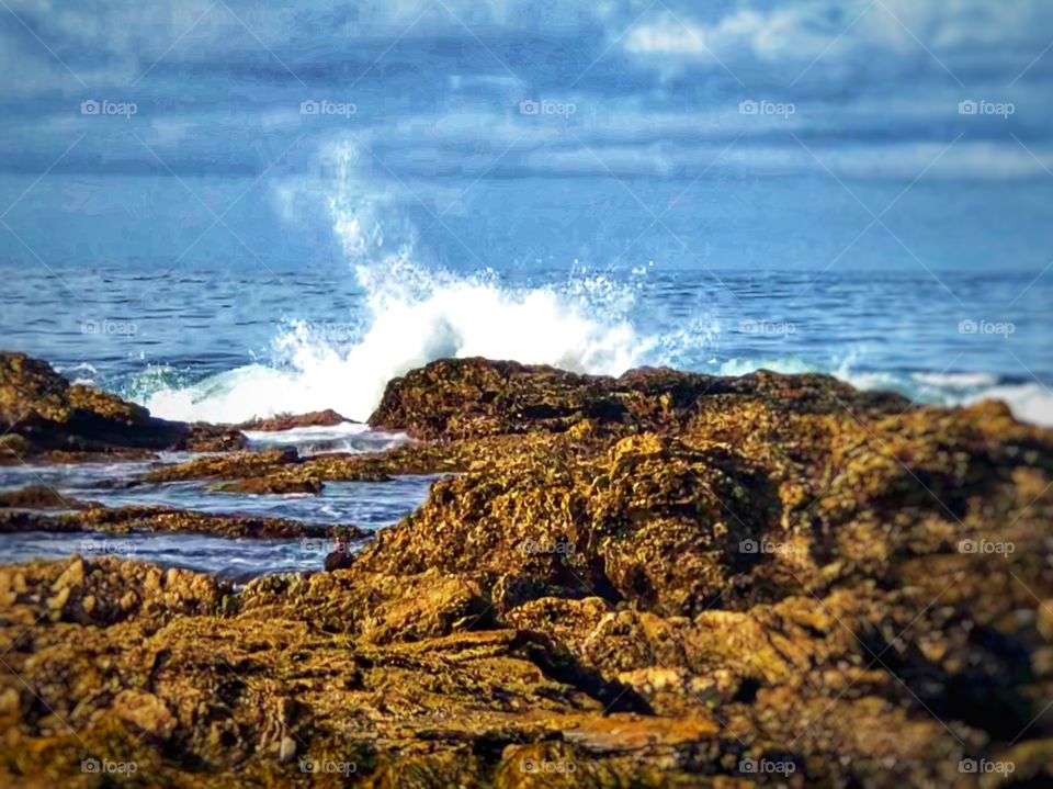 Stunning Ocean Waves and Rocks. Fine Art Photography! Wall Art, Metal Art Wall Decor!