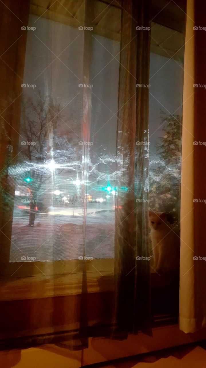 weathering the storm