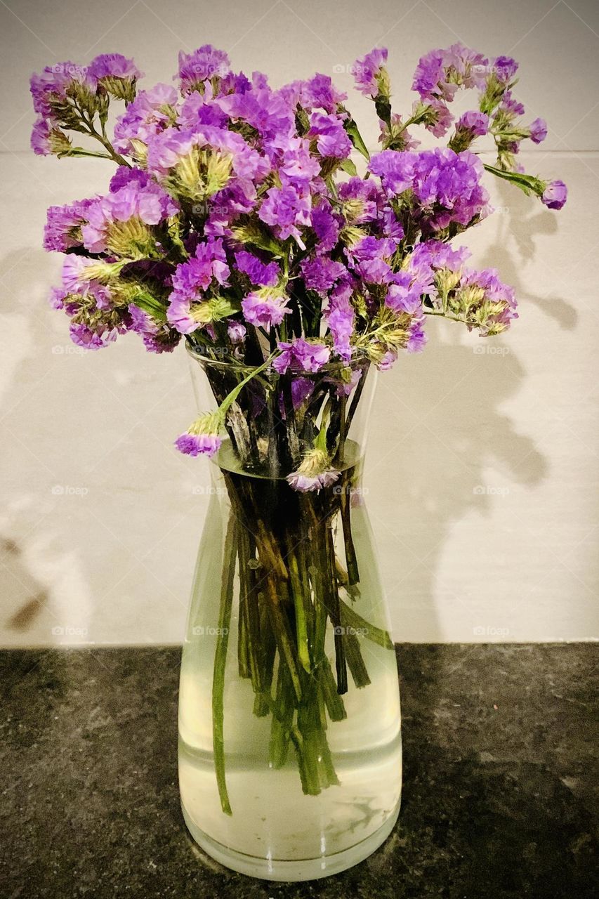 Fresh-Cut Lavender Color Flowers 