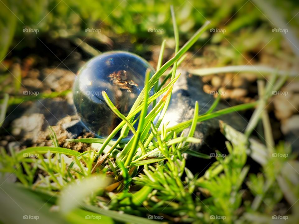 Lensball at Meadow