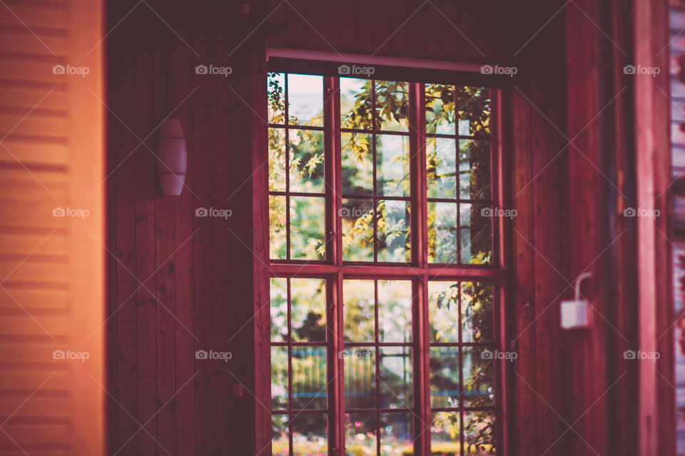 Window