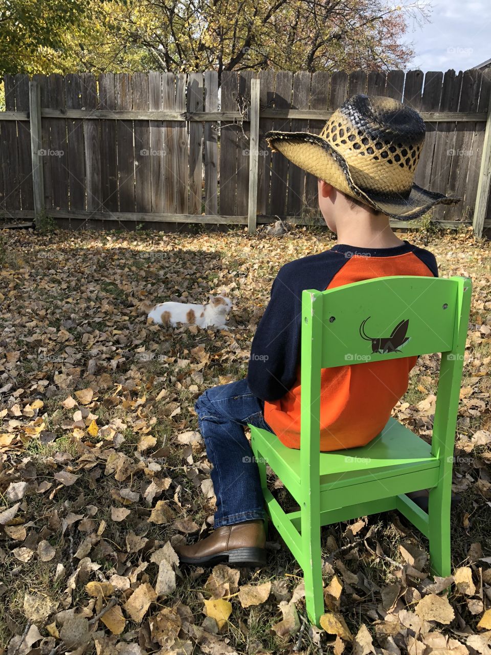 Cowboy and a cat playing outdoors