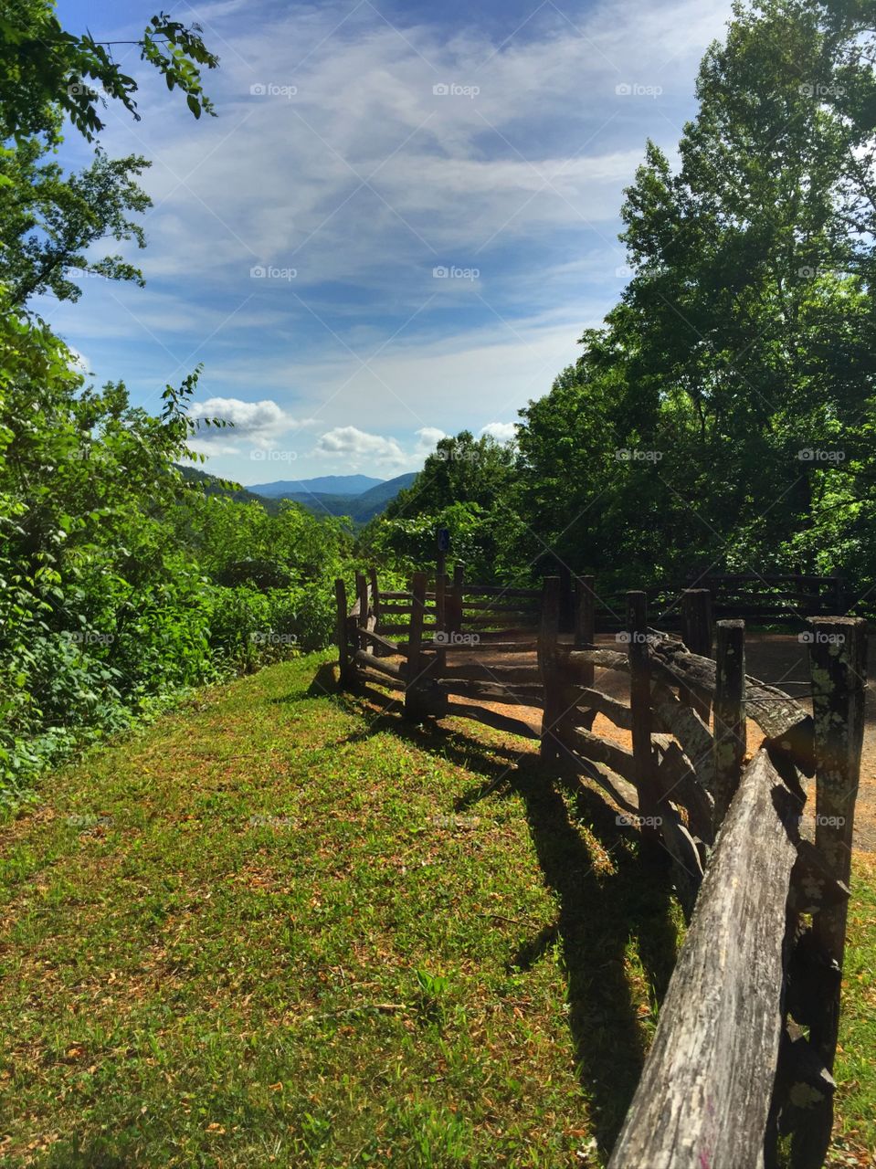 Hiking 