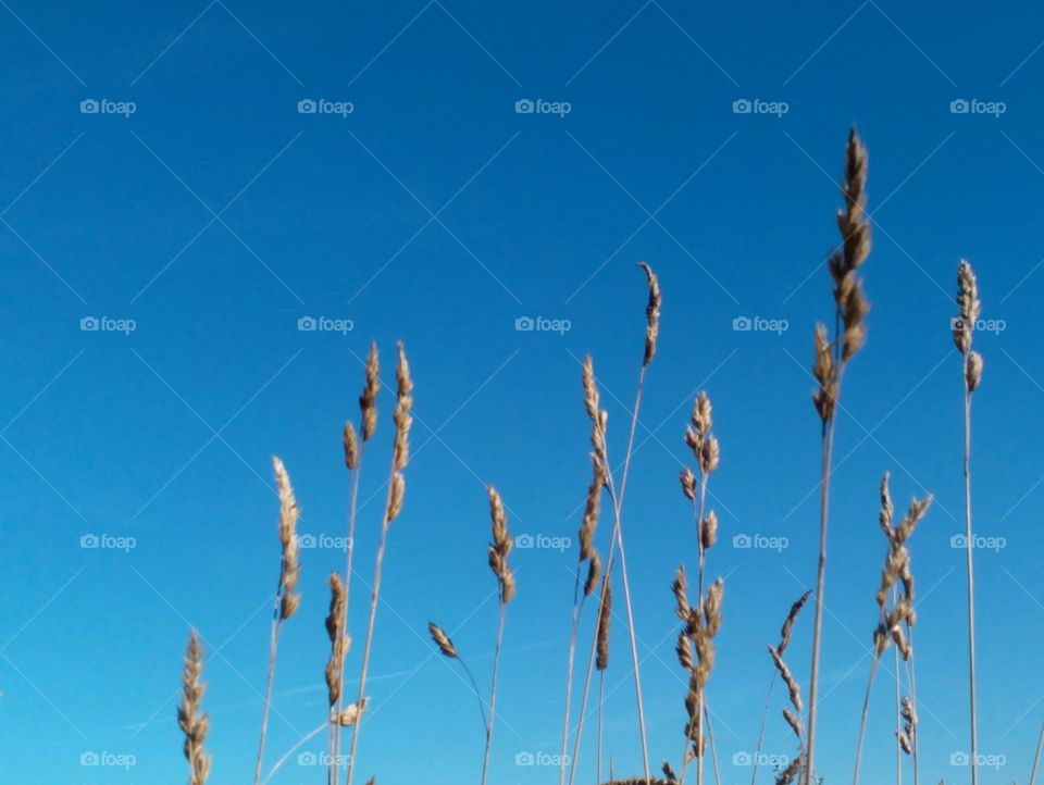 Nature, Sky, No Person, Summer, Outdoors