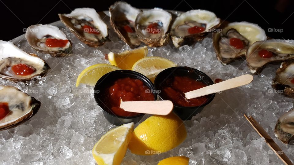 Oysters