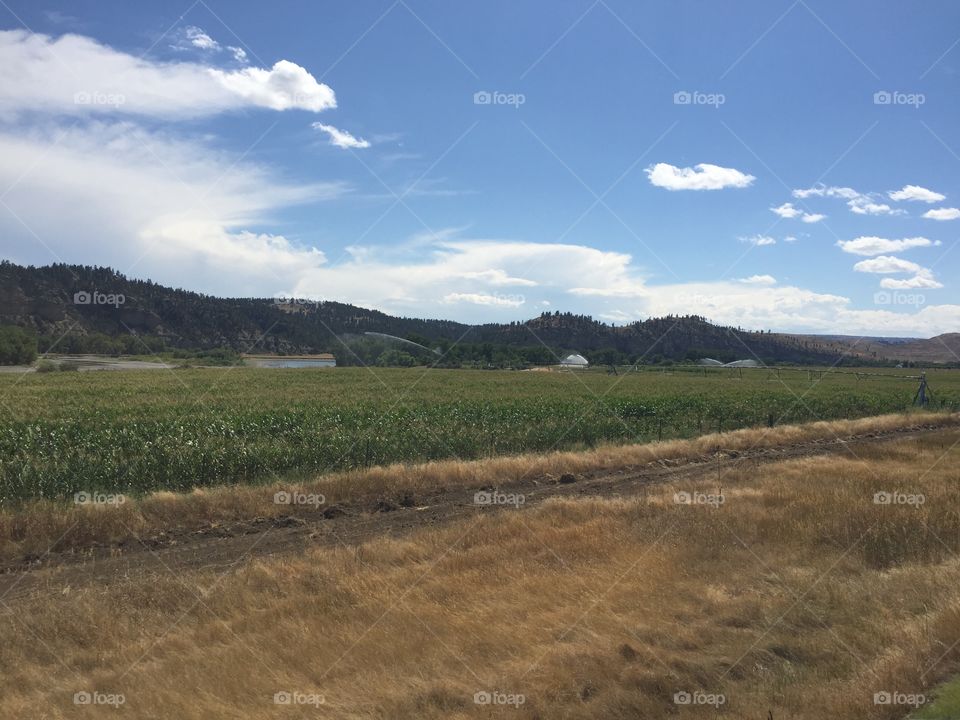 Landscape, No Person, Cropland, Nature, Sky