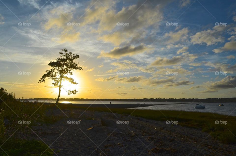 During the tide hours a natural bridge appears to get to a scenic island off the coast of Silver Sands state park in Connecticut. There travelers can enjoy magical sunset views and panoramic nature views of the park. 